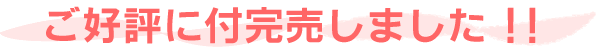 満を持して11月１９日発売